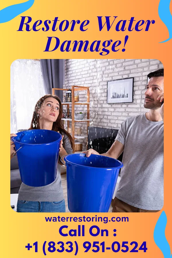 water restoration Sterling Drying Services Eagleville