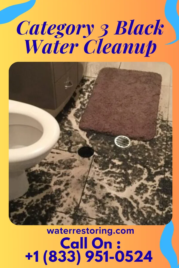 Category 3 Black Water Cleanup in Eagleville, TN