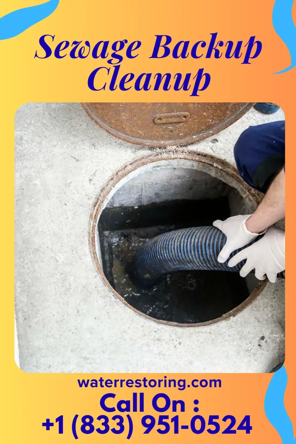 Sewage Backup Cleanup in Eagleville, TN